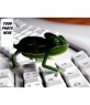 Background for twitter with a image of a chameleon in a keyboard