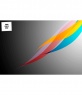 Twitter background template with your photo of colors ang grey background.