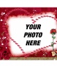Postcard: Take a rose and my