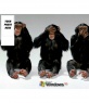 Monkeys doing the signs of not listening, not seeing, not hearing to set a