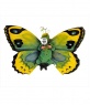 Photomontage of butterfly costume for childrens to put your photo