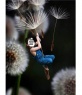 Photomontage of child flying to put a picture of a child