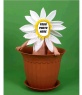 Photomontage for kids flower costume in a pot