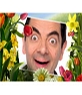 flower and plants photo