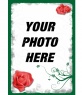 Framework for a digital photograph