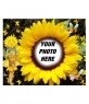 Photo frame in the form of sunflower