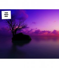 Sunset, twitter background for customizable with your photo