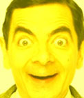 This photo effect is used for yellow coloring a picture
