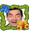 Frame for photos of butterflies with green