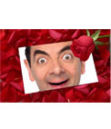 Put a picture in a love letter with a rose petal pink background