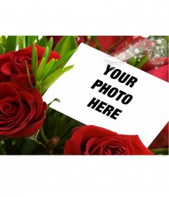 A new way of giving flowers with this framework for a photograph, which appears