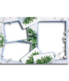 Photo frame for two pictures with a green background