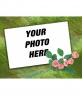 Customizable photo frame with green background and roses trim