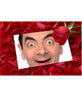 Put a picture in a love letter with a rose petal pink background