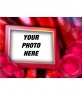 Valentine postcard with your picture to the background, border frame with red roses
