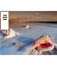 Background for your twitter account of shells on the beach