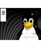 Background for twitter of the Linux mascot Tux where you can put your photo