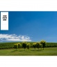 Wallpaper for twitter with a blue sky background and vineyards