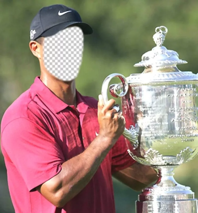 Template of Tiger Woods raising a glass to edit and put a face ..