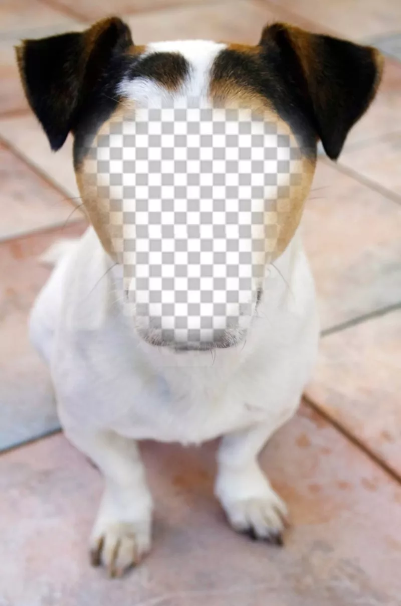 Photomontage of a dog where you can place your face and for free ..