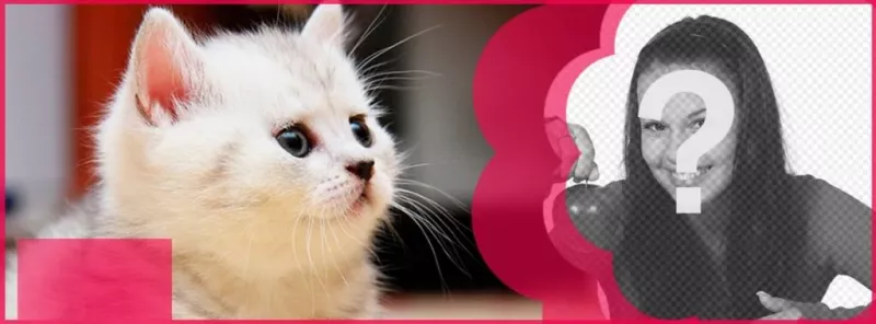 Custom facebook cover with a white cat and a pink flower to put your picture and the text you..
