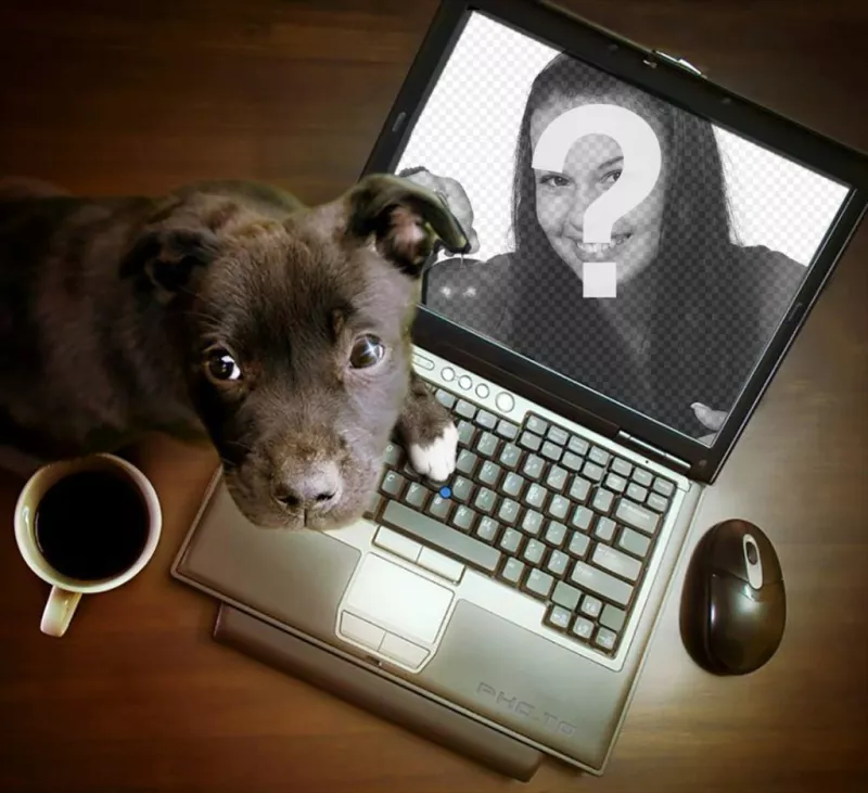 Collage with a puppy playing on a computer where you can put your photograph. ..