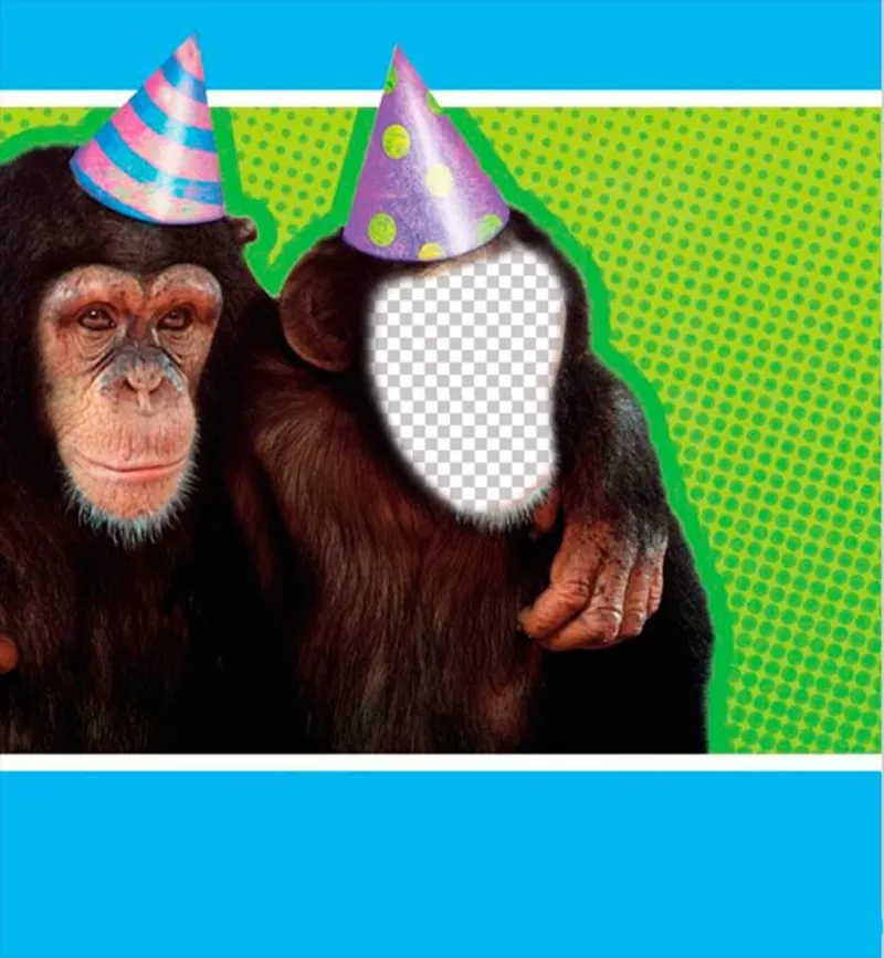 Photomontage with a monkey dressed with party hat. ..