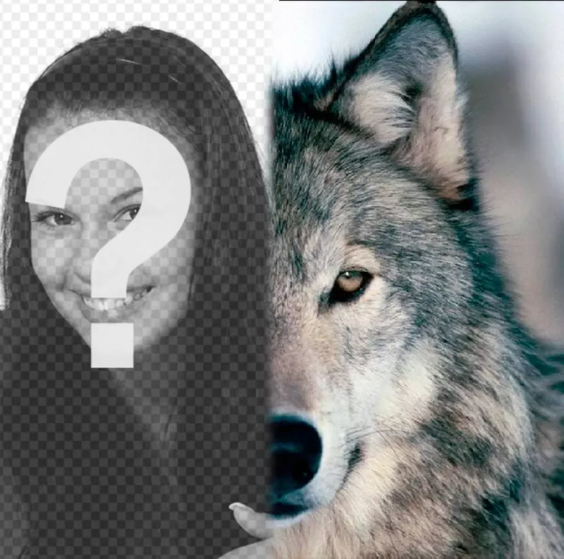 Photomontage to put a wolf face beside you, completing your half. ..