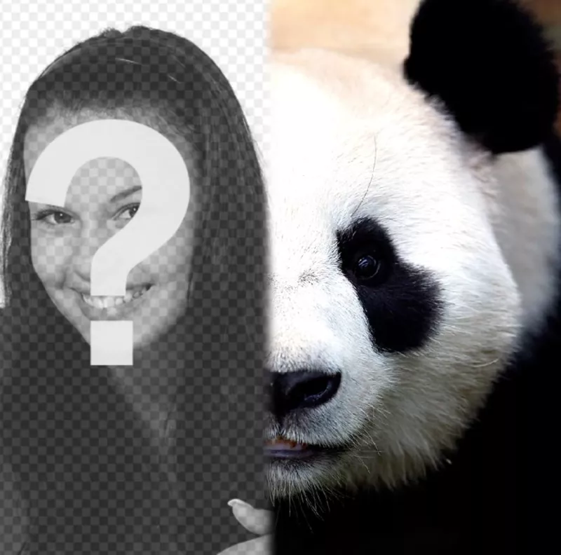 Transform your half face in panda with this photomontage. ..