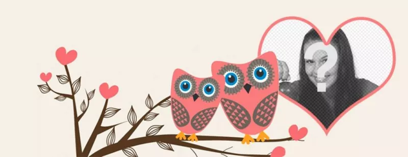 Love Facebook cover photo to customize with two owls ..