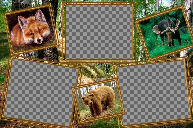 Collage of animals to edit with three photos of yourself. ..