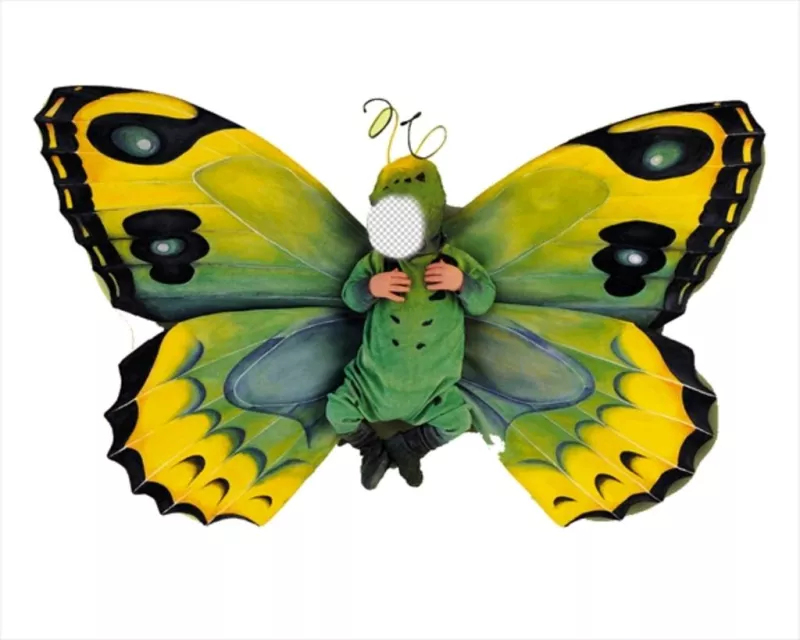 Photomontage of a butterfly costume for little kids ..