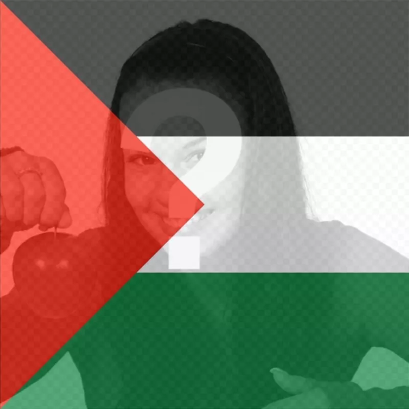 Filter of Palestine Flag to put in your photo. ..