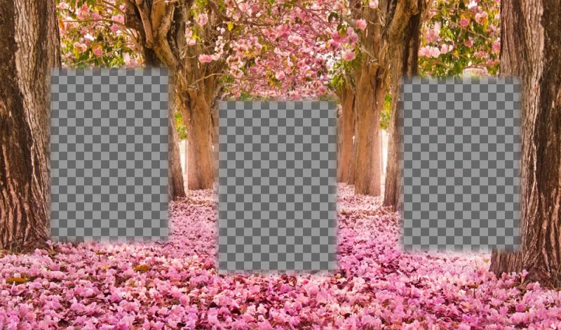 Free collage to edit with three pictures and add them to a flowered landscape ..
