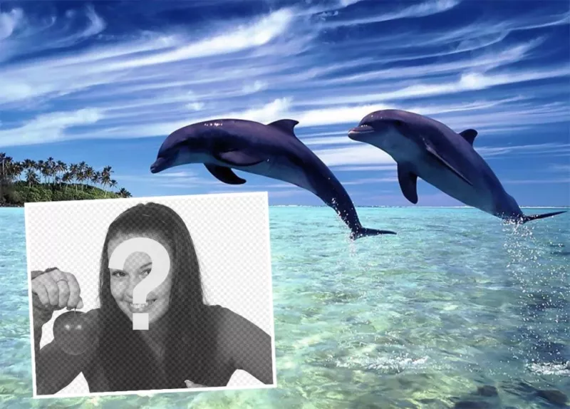Postal of vacation to edit with your picture and add it with two dolphins ..