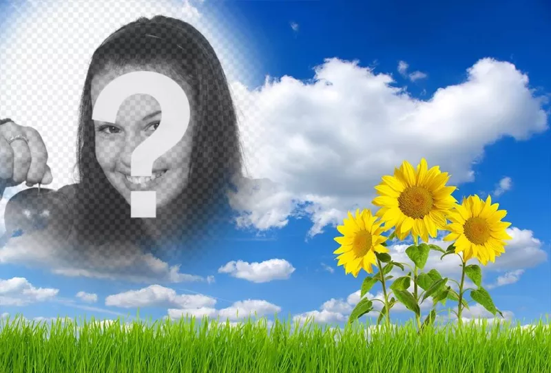 Online effect to edit and add your picture in a landscape with daisies ..