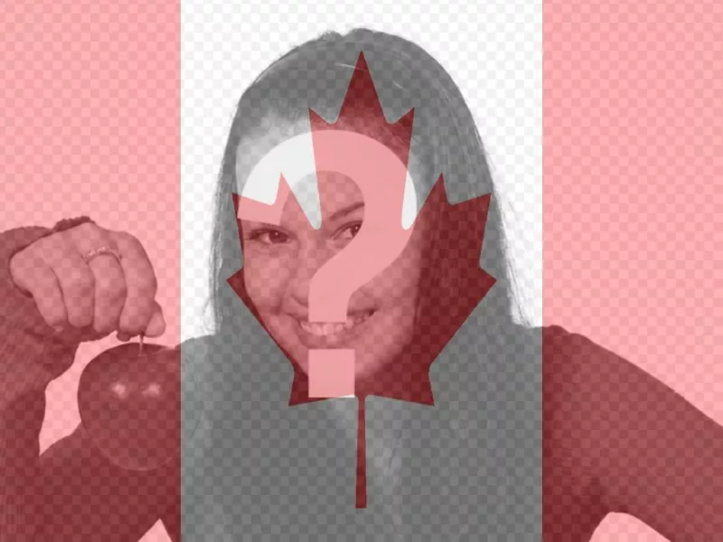 Put the Canadian flag in your profile photo online...