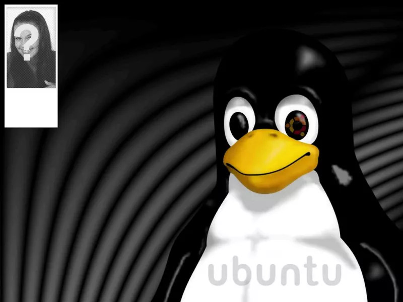 Background for twitter of the Linux mascot Tux where you can put your..