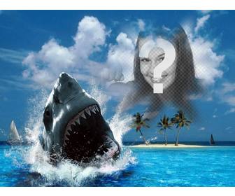 Photomontage of a shark biting your photo