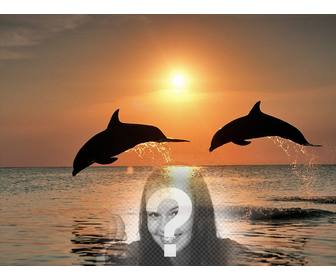 Collage with your photo and dolphins jumping in the sea.