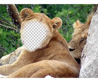 transform into lioness with this virtual effect to change body