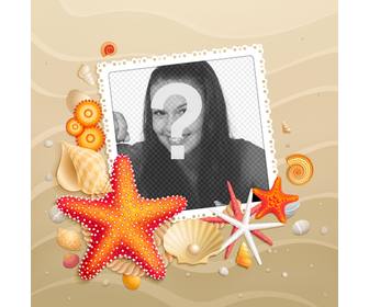 customize ur avatar with beach background with starfish summer for facebook and twitter