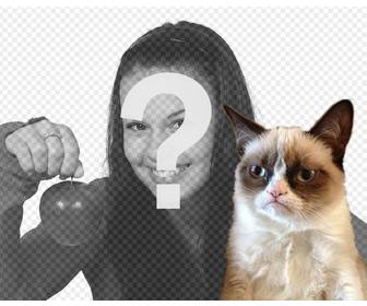 photomontage with grumpry cat meme that has become famous all over the internet