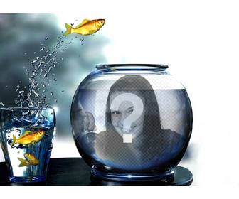 create photomontage with tank full of water with yellow fishes jumping from glass where u will put picture