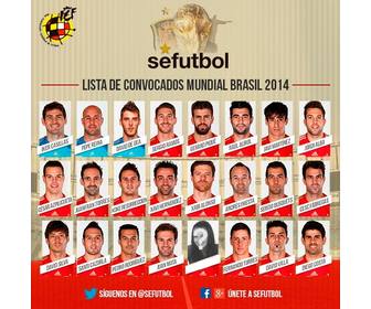 photomontage of the spain squad for the world cup brazil 2014