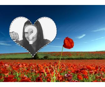 put ur photo in this postcard with heart over field of flowers
