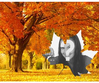 photo collage of autumn with background of trees and leaf shaped frame