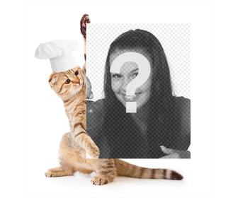 photomontage with cat dressed as chef holding ur picture