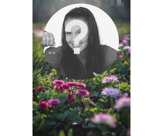 field of flowers and grass in the sun with circular frame for ur photos
