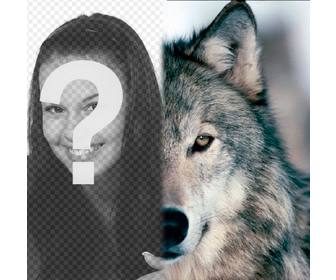 photomontage to put wolf face beside u completing ur half